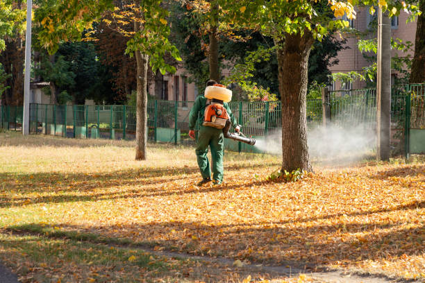 Best Flea Control Services  in Ironwood, MI