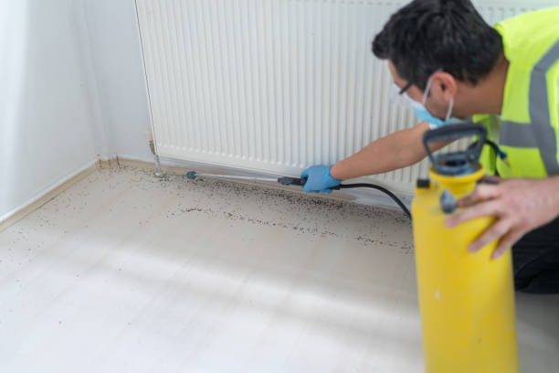 Best Pest Prevention Services  in Ironwood, MI